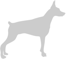 hond vector