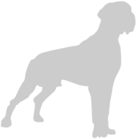 hond vector