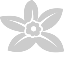 bloem vanille vector