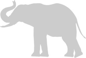 olifant vector