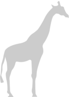 giraffe vector