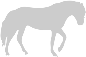 paard vector