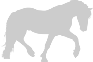 paard wandelen vector