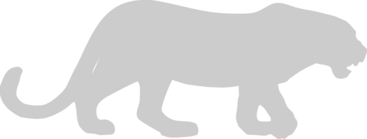 luipaard vector
