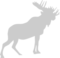 eland vector