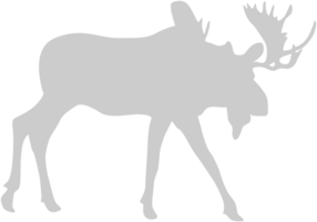 eland vector