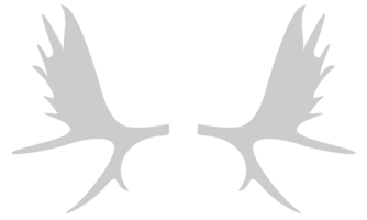 elandenhoorns vector