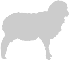 schapen vector