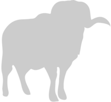 schapen vector