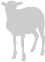 schapen vector