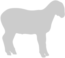 schapen vector