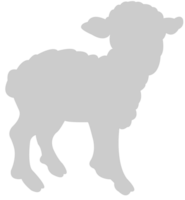 schapen vector