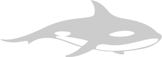 walvis vector