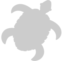 schildpad vector
