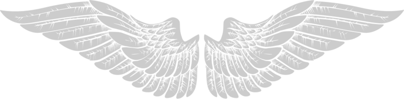 engelen vleugels vector