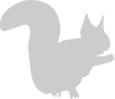 eekhoorn vector