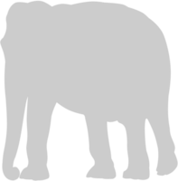 dier oorzaken olifant vector