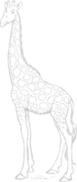 dier oorzaken giraffe vector