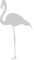 dier oorzaken flamingo vector