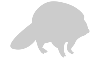 bever vector