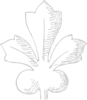 decoratie acanthus vector