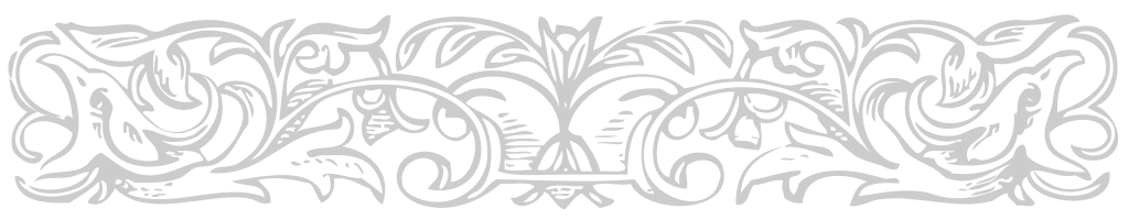 ornament vector