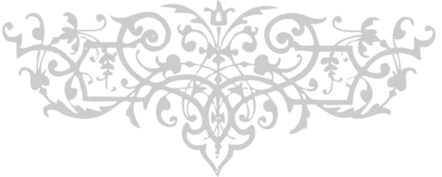 ornament vector