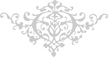 ornament vector