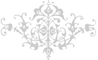 ornament vector