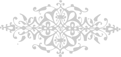 ornament vector