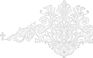 decoratie ornament vector