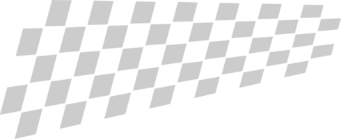 vlag race vector