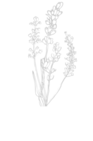 ontwerpt planten vector