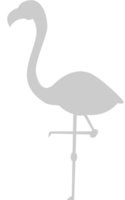 flamingo vector