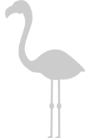 flamingo vector