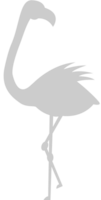 flamingo vector