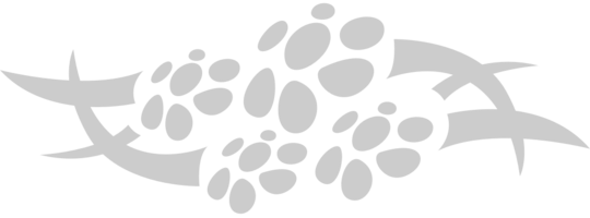 tribale Hawaiiaanse bloem vector