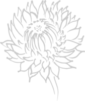 bloemen vector