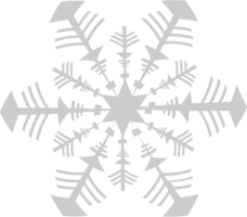 sneeuwvlok vector