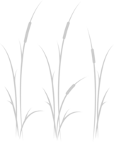 cattails vector