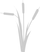 cattails vector