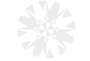 diamant edelsteen vector