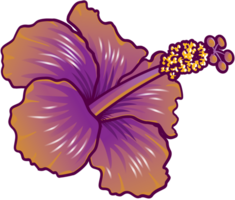 Polynesische bloem vector