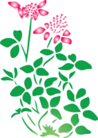 zomer bloem vector