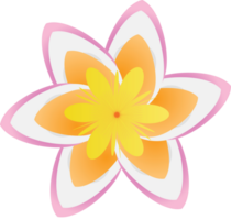 Polynesische bloem vector