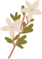 bloem hand getrokken vector