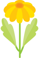 mooie bloem vector