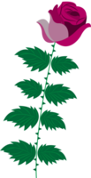 bloem vector