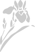 bloem vector