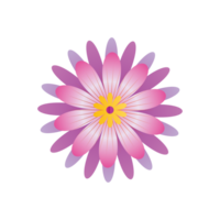 bloem Polynesisch vector